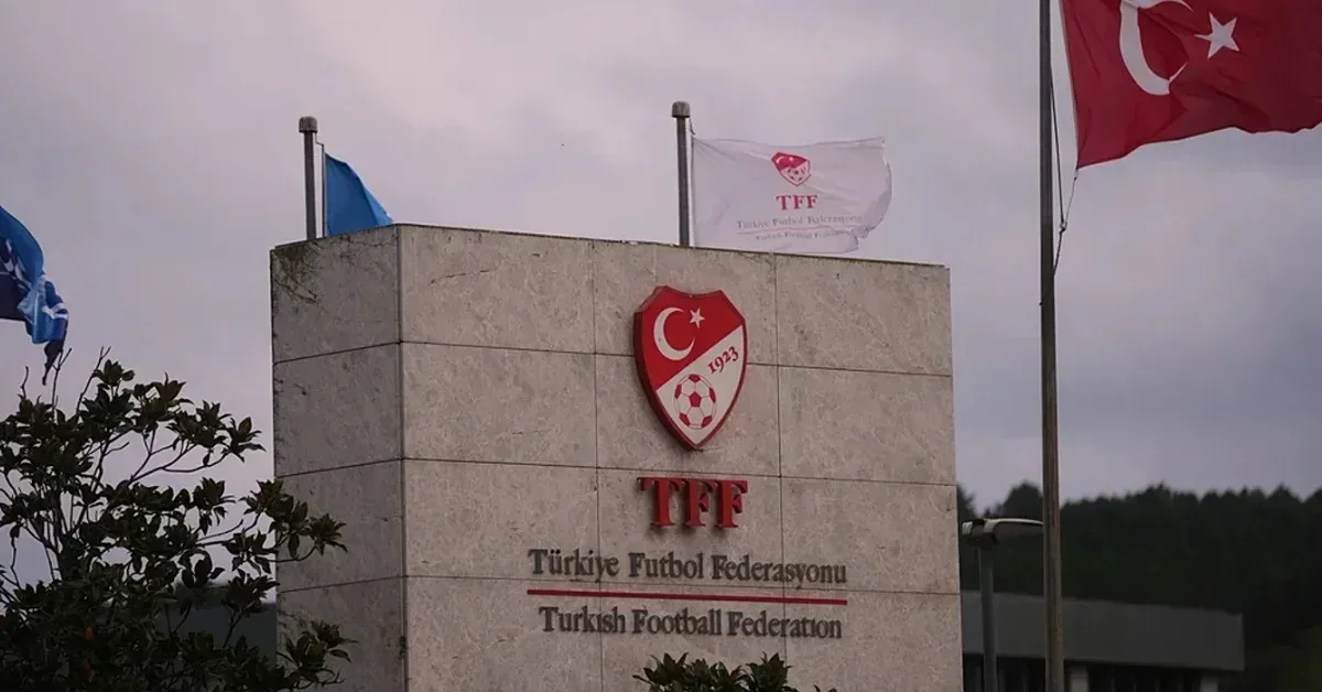 A Milli Takım kafilesinin Belçika girişinde yaşananlara TFF açıklık getirdi